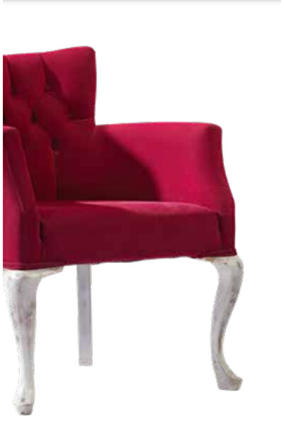 BENGİ TİCARET Sandalye 198761 Zus2263 Berjer Kapiton Avangart Kayın Retro Ayak Baby Face Kumaş