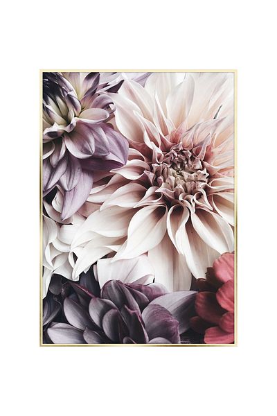 Homelux Pânză 50x70 cm, Blooming V