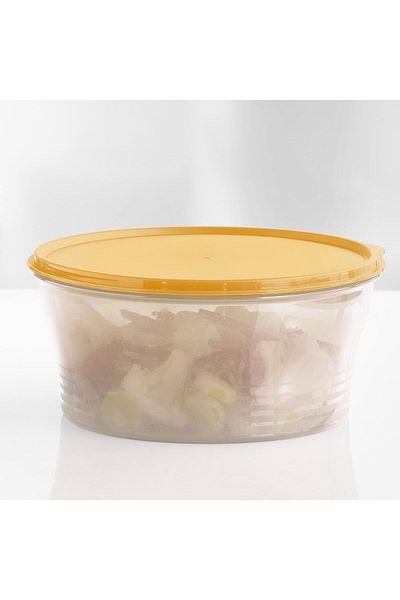 Tupperware 1.9L Solar Classic Storage Container