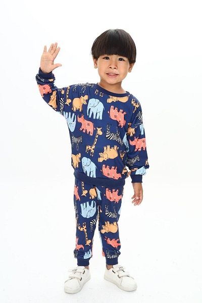 My Kids Wear Elephant Print Crew Neck Bottom Top Set