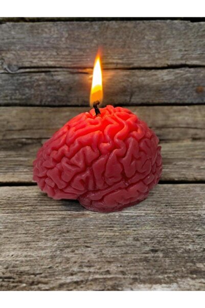 ares mum atölyesi portakal kokulu beyin şeklinde dekoratif hediyelik mum