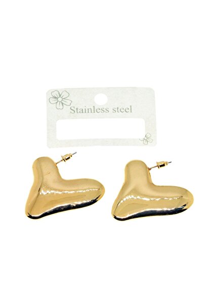 NKIE JEWELS Küpe Vip Renk Altın kararmaz Kararmaz Solmaz küpe Çelik Küpe