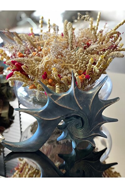 MGS COLLECTION Dekoratif Masaüstü Salyangoz Biblo Küf