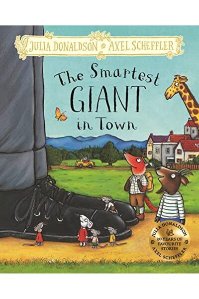 Pan Macmillan The Smartest Giant In Town