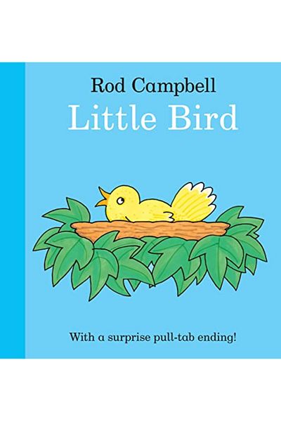 Pan Macmillan Little Bird
