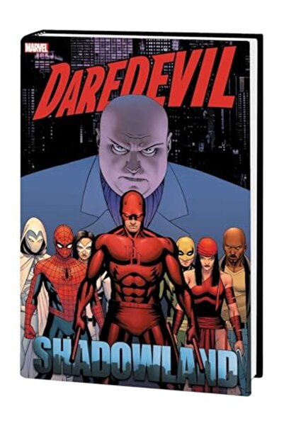 Marvel Comics غلاف داريديفيل شادولاند أومنيباس كاسادي الجديد مطبوع