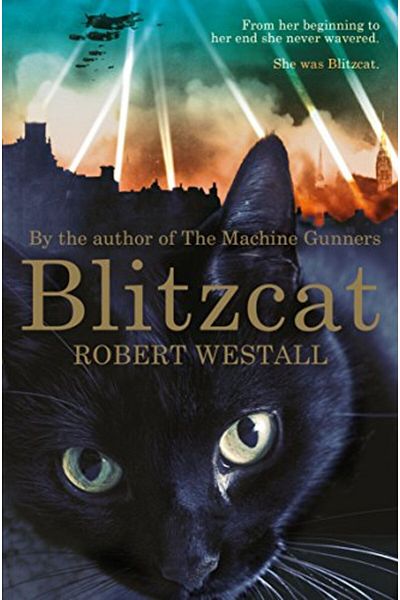 Macmillan Distribution Blitzcat