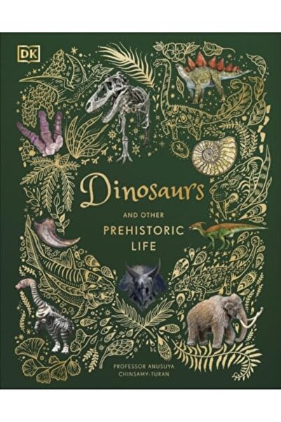 DK CHİLDREN Dinosaurs And Other Prehistoric Life