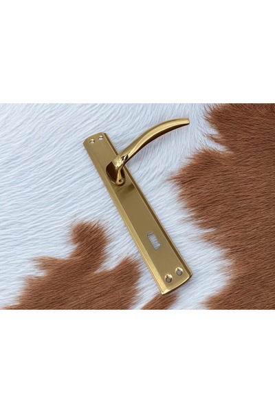 KOLDOOR Özen Trim Titanyum Lüx Aynalı Yale Çelik Kapı Kolu 1 Takım