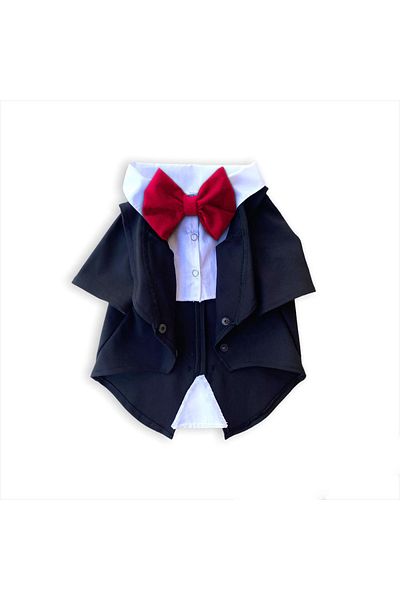 Luli Pet Black Dog Tuxedo with Red Bow Tie