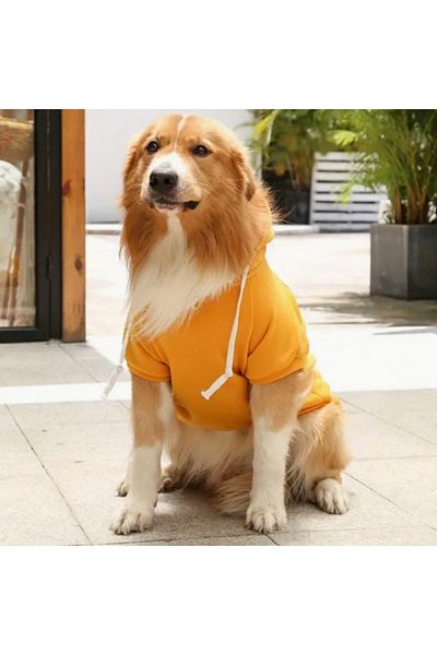 Proxy Paws Hoodie for Large Breeds