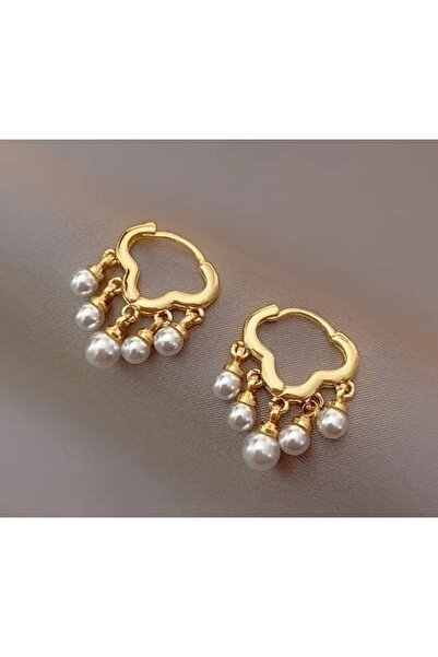 Dgt Luxury 925 Ayar Gümüş Kaplama Yapay İnci Detaylı Hareketli Küpe