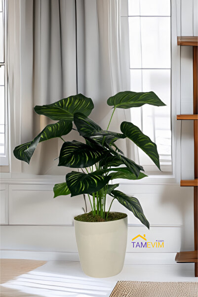 TamEvim Şıklık Ve Ferahlık - Yapay Ağaç Salon Bitkisi Difenbafya 75 Cm