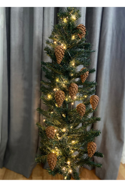 ASRIN Ev Teknolojileri Christmas Tree 10-Piece Pine Cone Ornament