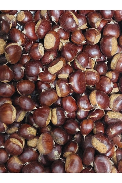 Sarıcaovadan 1 Kg Kestane Yeni Mahsul
