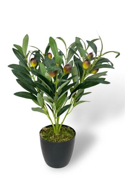 Nettenevime Yapay Zeytin Ağacı Saksıda 40cm 5 Dallı 10 Meyveli Yapay Çiçek Ar...