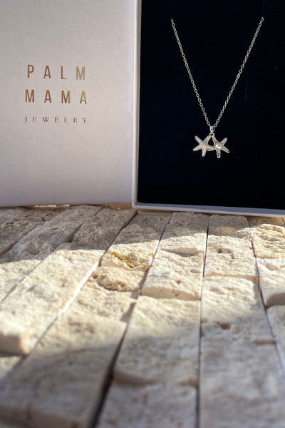 PALM MAMA JEWELRY Kadın Gümüş Renk Zirkon Taşlı Deniz Yıldızı Açılan Minimal Incili Kutulu Çelik Kolye