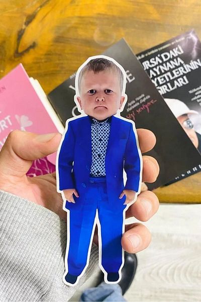 Namgo Set de cărți cadou cu tăiere specială Hasbulla