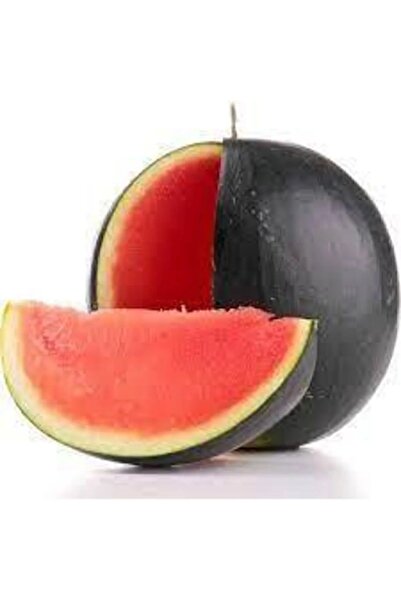 AKSARAY TOHUMCULUK Halep Karası Karpuz Tohumu 25 Adet Tohum Aksaray Tohumculuk