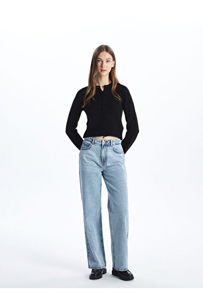 LC Waikiki LCW Bisiklet Yaka Kadın Triko Hırka