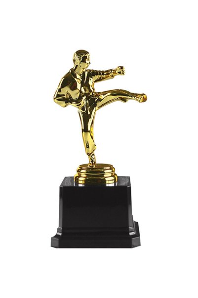 ETKİN Karate Figürlü Ödül Kupası Kişiye Özel Baskılı ( Satıcıya Sor )