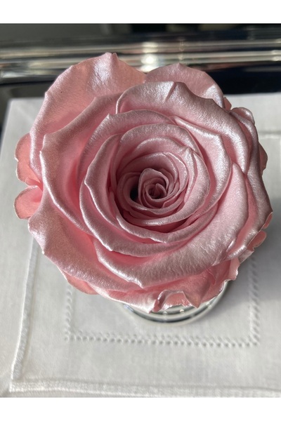 ABROZ HOME DESIGN Solmayan Şoklanmış Gül / Simli Sedef Pembe