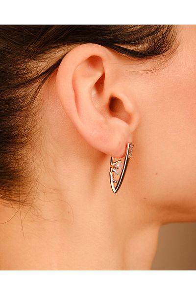 Lekka Design Women's Non-Tarnish Steel Luxury Jewelry Zircon Stone Combination Earrings