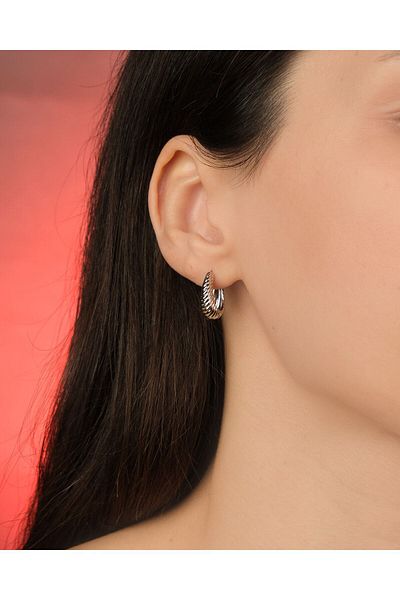 Lekka Design Women's Non-Tarnish Steel Luxury Jewelry Silver Colored Combination Earrings