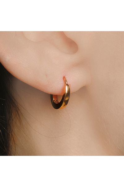 Lekka Design VIP Series Steel Women's Small Hoop Rose Earrings