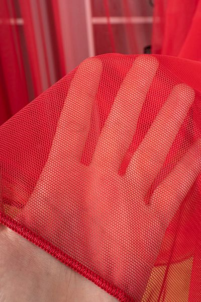 ervin New Year's Custom Red Greek Tulle Curtain - Honeycomb Backdrop, Regular Pleated