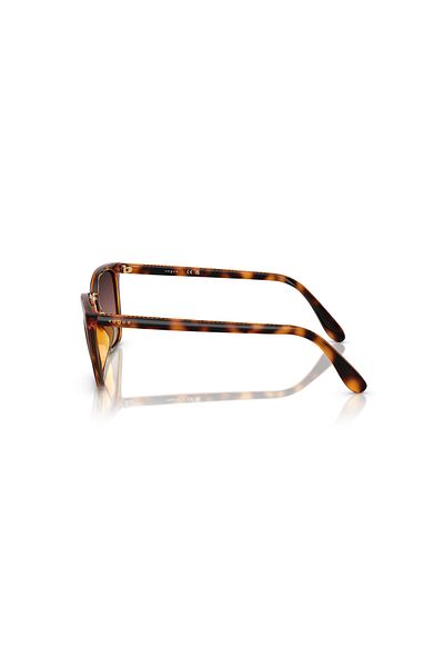 Vogue 5597 W656E2 53 Women's Sunglasses