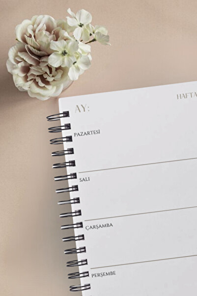 pcpapiruscraft A5 Spiral Terminal Planer Agenda-12 Months-Plain Models