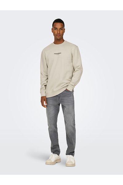 Only & Sons Onscurated Reg Crew Neck Sweatshirt - Silver Detail (14- 22030923 )