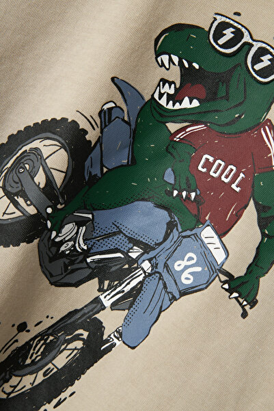 name ıt Nmmthor Nreg Ls Top Box