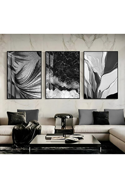 Harikabirev HARİKABİREV|SİYAH BEYAZ RENK SEVİLEN SOYUT KOMBİNİ |ÇERÇEVELİ CAM...