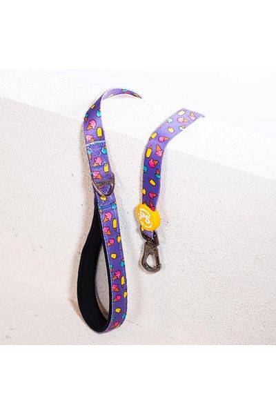 Pawstar Ice Cream Leash Cat Dog Ship & Walk Strap Dog Extension Collar