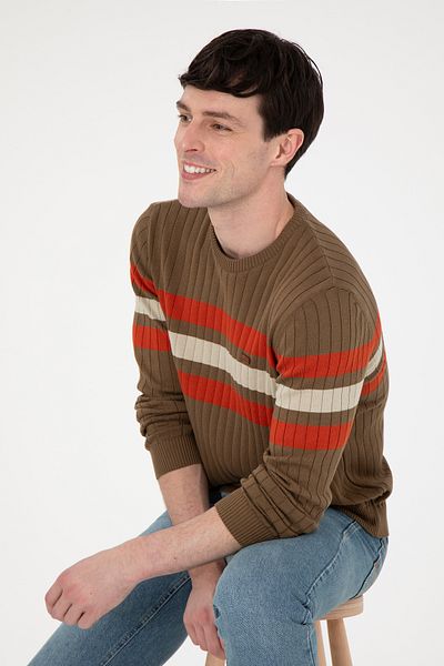 U.S. Polo Assn. Men's Khaki Sweater 50297046 -Vr027