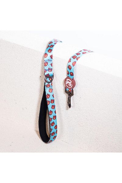 Pawstar Bears Leash Cat Dog Ship & Walk Strap Dog Extension Collar