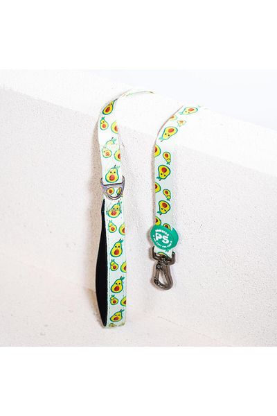 Pawstar Avocado Leash Cat Dog Ship & Walk Strap Dog Extension Collar