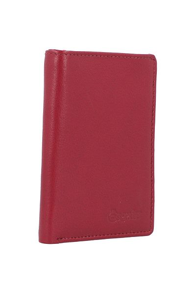 Esquire Oslo credit card case RFID leather 7.5 cm