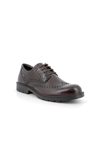 IGI&CO Men's Oxford (Classic) 6604311 Igi&Co Uctgt 66043 Vitello Alfa T.Moro ...