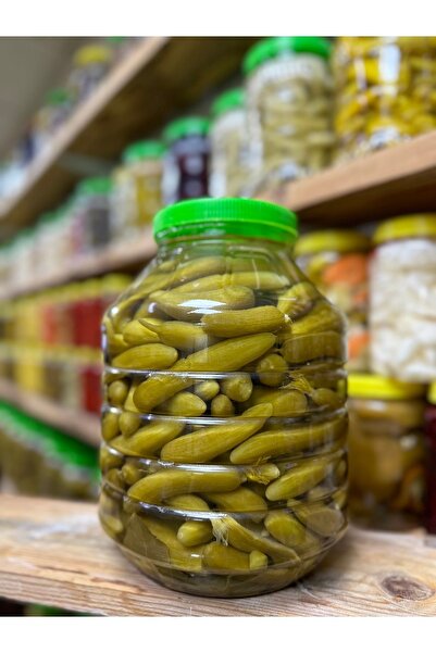 Çubuk Yeşilçam Turşuculuk 0 NO ÇUBUK SALATALIK TURŞUSU 5000CC