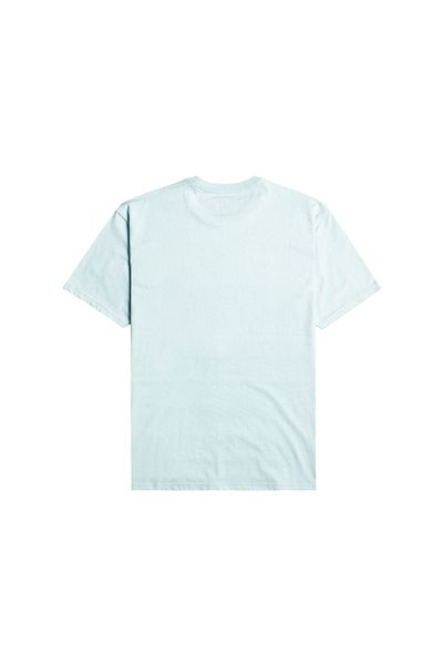 BİLLABONG Billabong Billabong Rotor Fill Men's Blue T-Shirt Men's T-Shirt Ebyzt00105