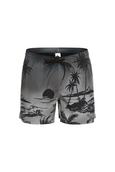 Quiksilver Men's Volley Short Paradise 15 m Jamv Black Men's Volley Short Eqyjv03999