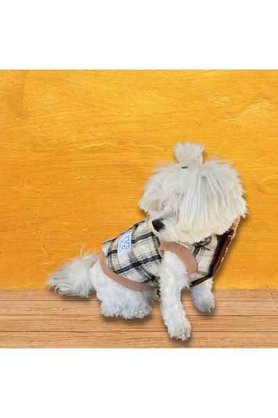 Oli and Lui Plaid Dog Coat