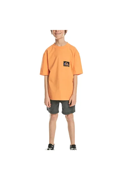Quiksilver Back Flash Youth Boy Orange T-Shirt Boy's T-Shirt Eqbzt04706