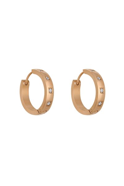 Daniel Klein Mtk11399 Steel Rose Gold Colored Earrings