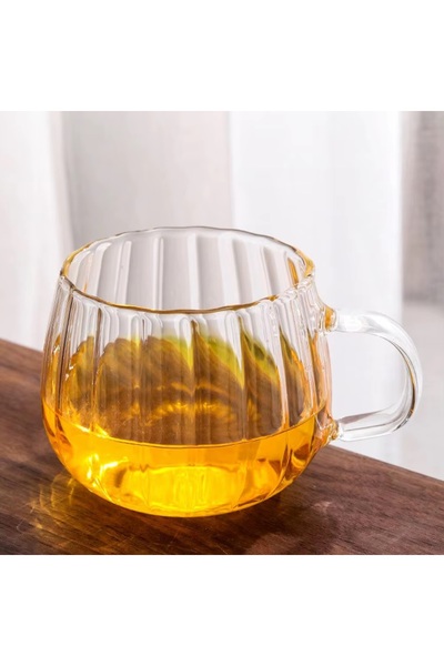 OneHouse 400 ML Çift Çidarlı Kulplu Şık Desenli Cam Bardak