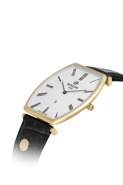 Hislon Cl179G-02Kg Men Wrist Watch