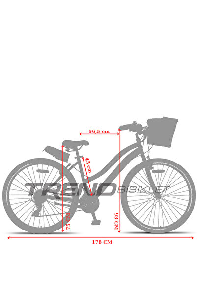 Trendbisiklet Retro Classic 28 Jant Bisiklet, Shimano 21 Vites, Hasır Sepetli Vintage Şehir Bisikleti